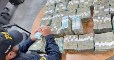 Equipe encontrou quatro caixas de papelão com a quantia em dinheiro — Foto: Ascom/PRF