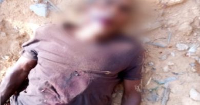 Screenshot_20221114-151022_Gallery