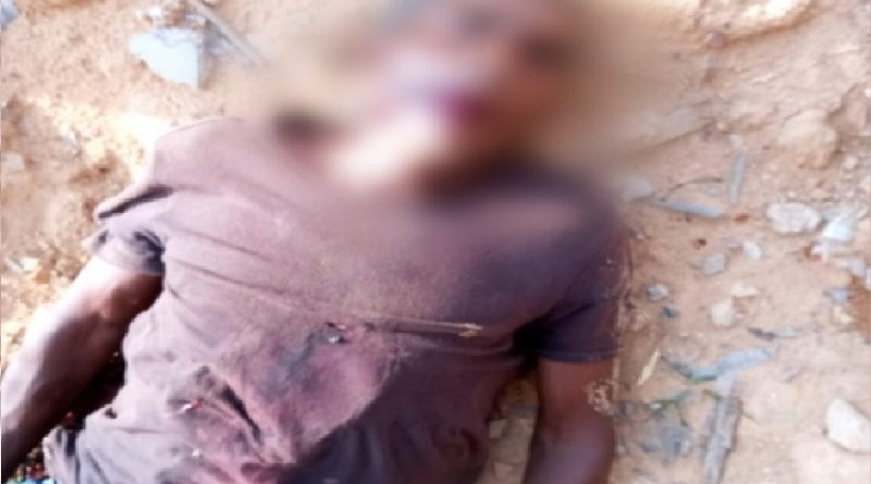 Screenshot_20221114-151022_Gallery