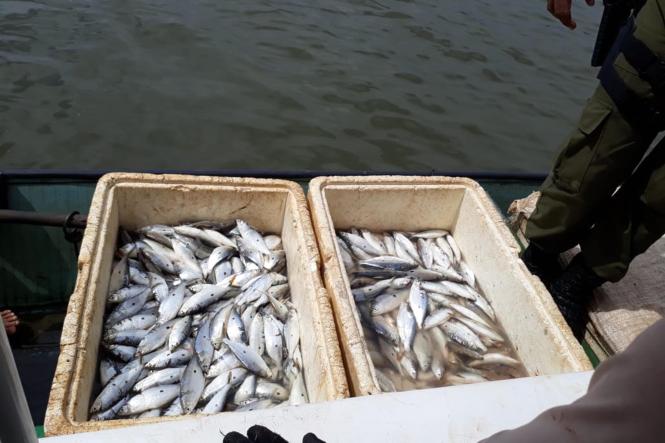 da1db550-7488-4b2a-9a55-e5b32269bf7f