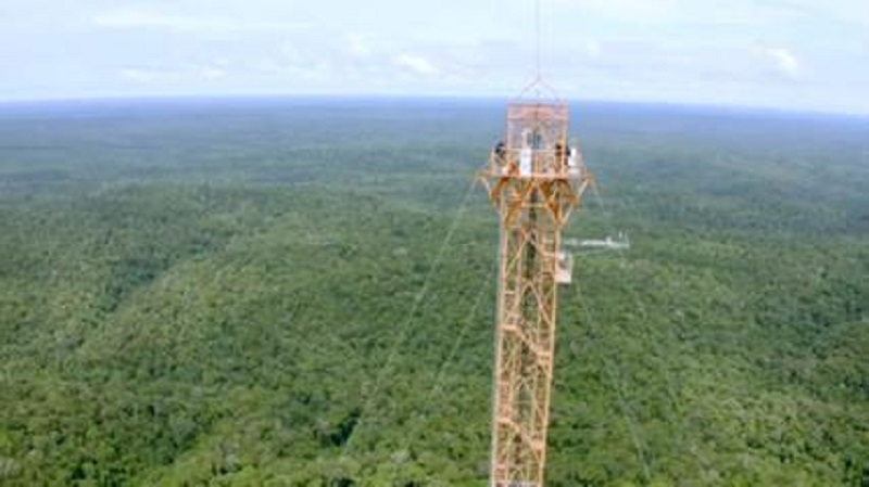  Projeto na Amazônia pesquisa influência da Floresta no clima (Foto:Reprodução)
