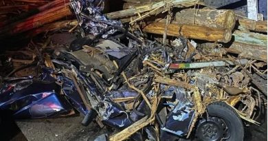 Cinco pessoas morrem após acidente entre carros e caminhão carregado de toras — Foto: PRE