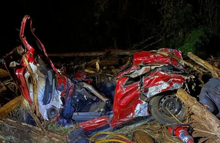 Cinco pessoas morrem após acidente entre carros e caminhão carregado de toras — Foto: PRE 