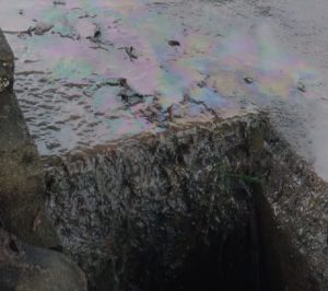 Óleo atingiu a rede de galerias pluvial próximo ao lago municipal.