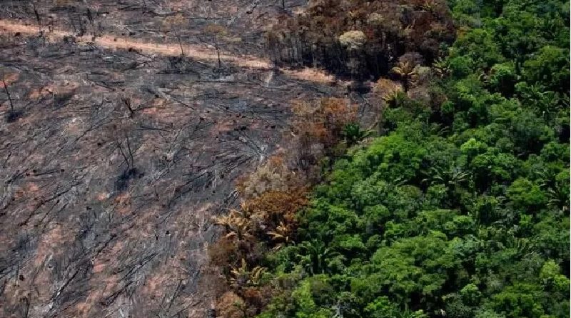 Ibama aplica cerca de 10 mil multas por ano, mas não deu andamento aos processos de julgamento e cobrança das infrações - (Foto: Estadão / Estadão).