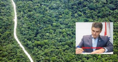 Floresta Amazônica - Região Sudoeste Paraense - Fotos Bruno Cecim - Ag.Pará