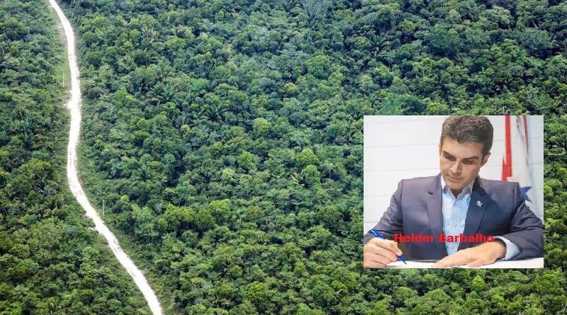 Floresta Amazônica - Região Sudoeste Paraense - Fotos Bruno Cecim - Ag.Pará