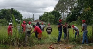 Fotos Itiruçu Online