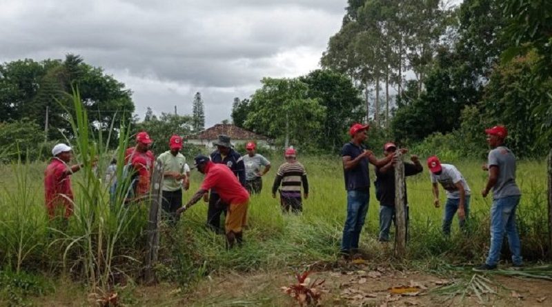 Fotos Itiruçu Online