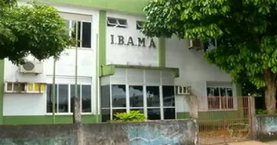 ibama santarem