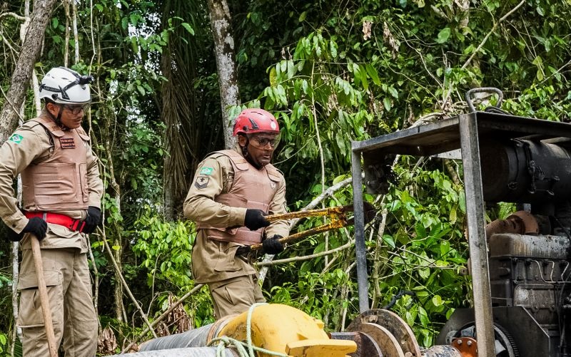 15951_6be399f2-be64-0cfc-d209-98847ddeafd3