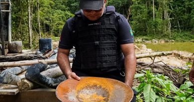 15951_ad86b174-5108-3d6f-f1c6-ab8071c8c488