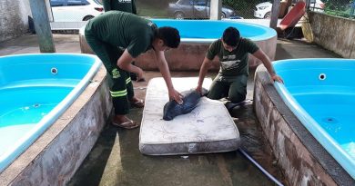 WhatsApp Image 2023-03-24 at 10.06.14 (1)