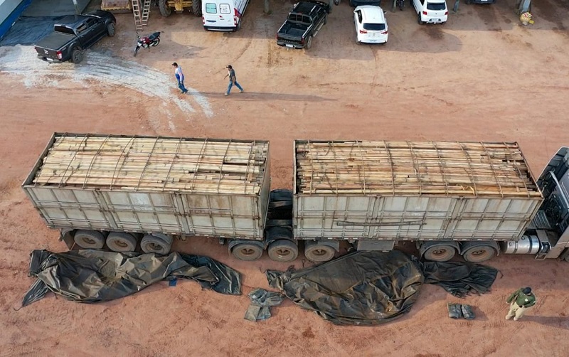Semas realiza mais uma fase da Operação “Amazônia Viva” em combate a ilícitos ambientais (Foto:Divulgação)