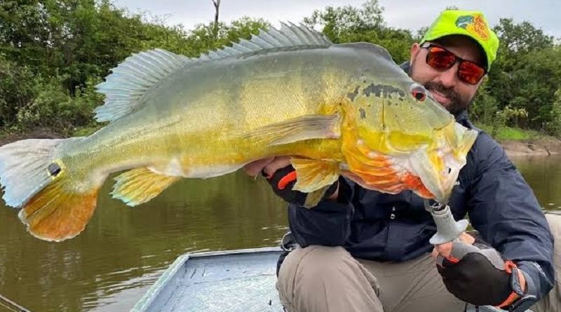 0B11DBBA-307A-4E32-A17A-BE37519C3B5C