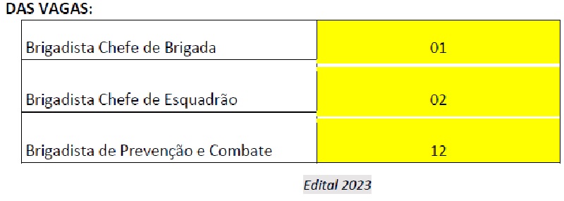 BRIGADISTA VAGA