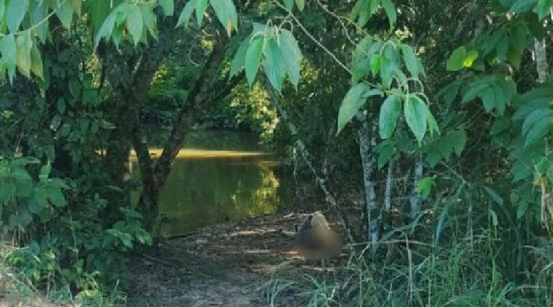 homem-assassinado-scaled