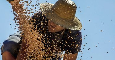 LÍDER - Colheita de soja em Salto do Jacuí (RS): o país é o maior exportador do grão (Silvio Avila/AFP)