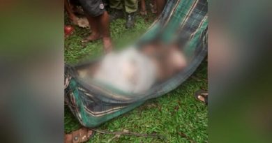 43_647fa06ac4eda-696x418