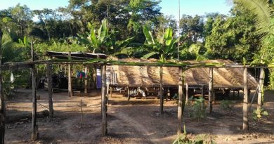 43ed751aa8fcd1c8e01ac996867924d1