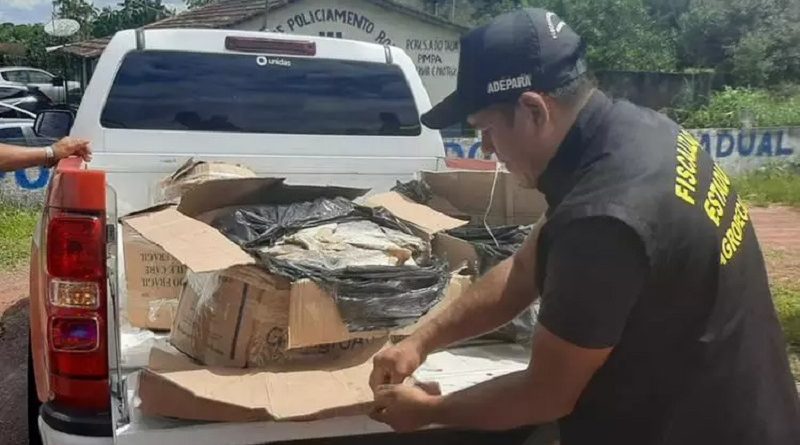 Fiscais-da-Adepara-apreendem-carga-em-Santo-Antonio-do-Taua