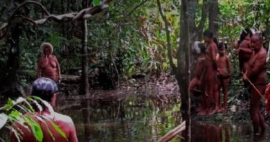 A Terra Indígena Zo’é tem área de aproximadamente 671 mil hectares. | ( Divulgação )