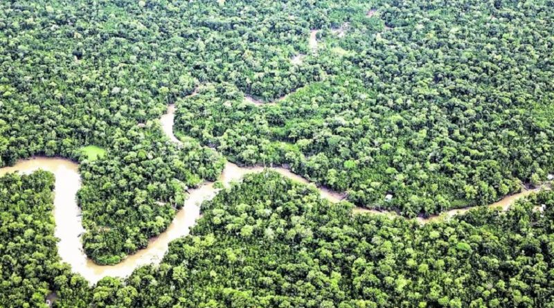 Meu-projeto-25_00813387_0_-3