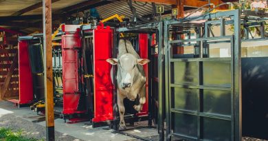 coimma-apoia-mapeamento-da-pecuaria-brasileira-realizado-pela-expedicao-Confina-Brasil-foto-divulgacao