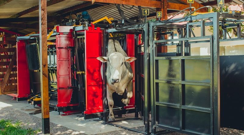 coimma-apoia-mapeamento-da-pecuaria-brasileira-realizado-pela-expedicao-Confina-Brasil-foto-divulgacao