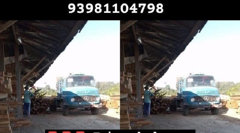 processed-43f3c65e-3381-4ea8-9533-1d20704773d3_SPsKn2fF (1)