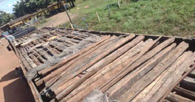 up-ag-44686-e5b87bd0-b856-a735-c3b0-d83157f4376e