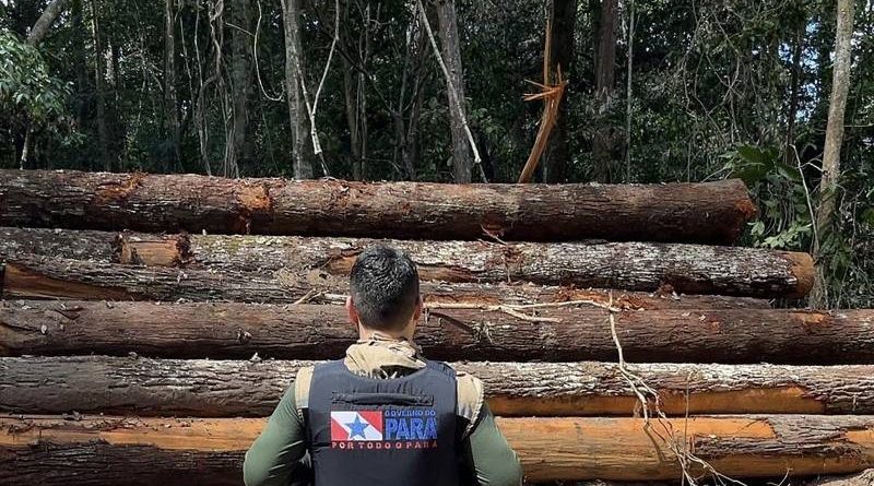 up_ag_44845_0dd0d4ba-e01b-c39d-a896-7143b3c61644