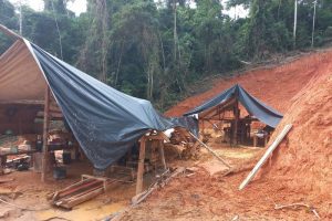 up_ag_44845_72dd4fcd-3e6f-866f-3293-5b92383c22eb