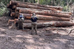 up_ag_44845_f943a31a-c1dd-fc9d-13b4-fad4135a7ad7