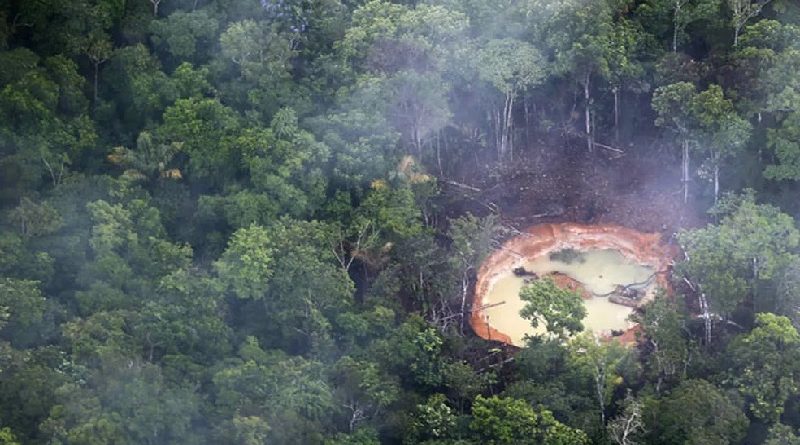 garimopo fronteira venezuela