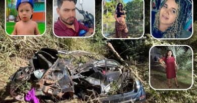 Ana Flávia Santos Lima, Lucas Santos Lima, Isabel Santos Lima Oliveira, Ana Maria do Carmo Soares Santos, Heitor Lima morreram em acidente na BR-153, em Goiás — Foto: Reprodução/Redes Sociais