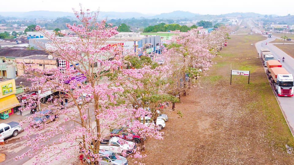 301844377_470660065069143_3500812991620352604_n