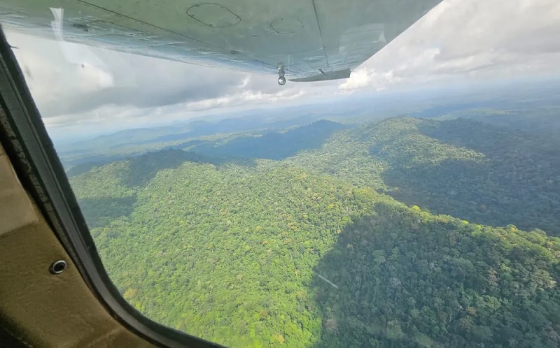 GTA sobrevoa área onde helicóptero desapareceu na Amazônia — Foto: GTA/Divulgação
