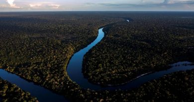 amazonas