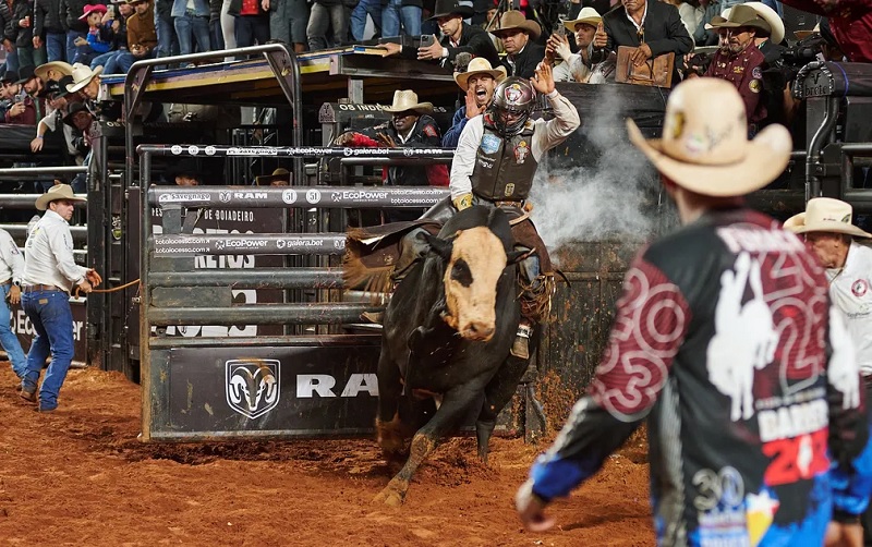 Andrew Alvidrez sofre queda do touro Texando na final do Rodeio Internacional da Festa do Peão de Barretos 2023 — Foto: Érico Andrade/g1