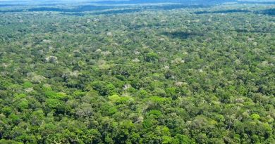 Unidade de Conservação (UC) do Tapajós abrange os municípios de Itaituba, Jacareacanga e Novo Progresso (Reprodução/ICMBio)