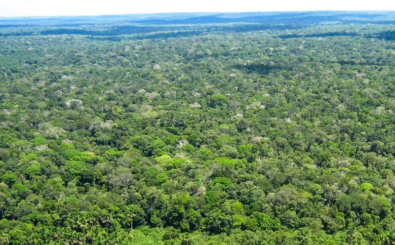 Unidade de Conservação (UC) do Tapajós abrange os municípios de Itaituba, Jacareacanga e Novo Progresso (Reprodução/ICMBio) 