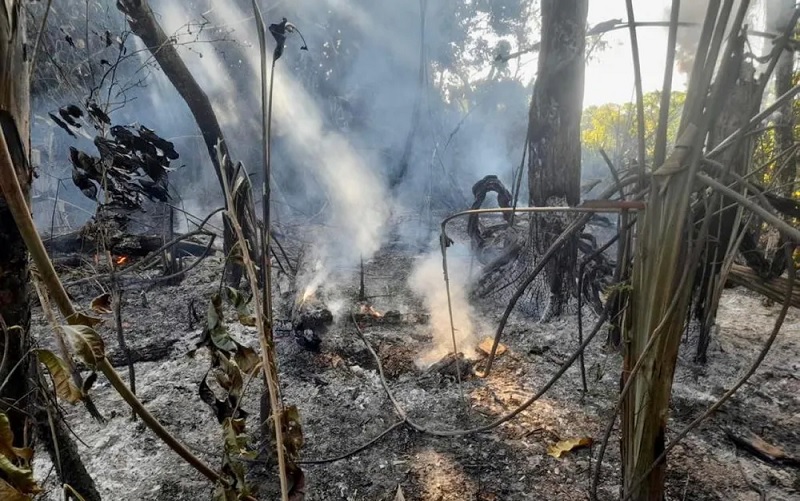 O fogo ameaça a fauna e a flora da região nas unidades de conservação de São Geraldo do Araguaia — Foto: Divulgação
