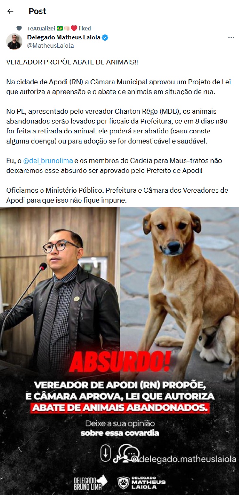 Não, vereadores de Apodi (RN) não autorizaram carne de cachorro na