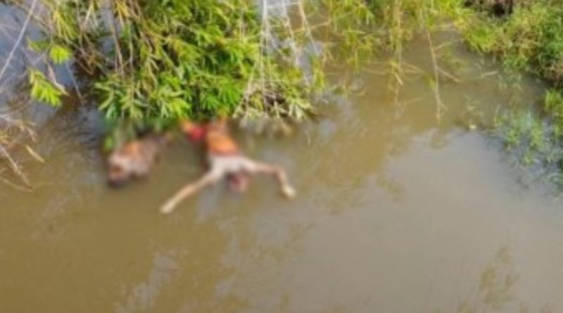 388fa7f05cdc501bdf89cf3e90e5c184