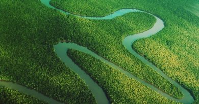 Desafios e Compromissos Futuros  -Foto: Bruno Cecim / Ag.Pará