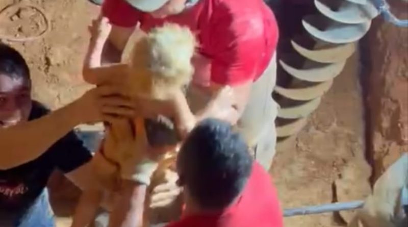 castelo de sonhos criança