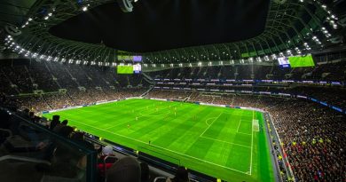 pexels-dom-le-roy-3991976 (1)