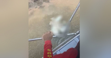 5b8eda2fb2475e2241b72dce9211d4ad