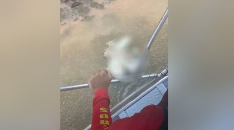 5b8eda2fb2475e2241b72dce9211d4ad